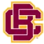 Bethune-Cookman Wildcats logo
