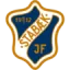 Stabaek U19 logo