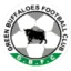 Green Buffaloes FC logo