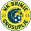 Brinje Grosuplje logo