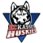 Kassel Huskies logo