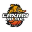 Caxias do Sul logo