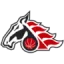 BK Vividbooks Pardubice logo