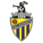 Valadares Gaia FC (W) logo