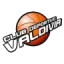 Deportivo Valdivia logo