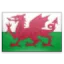 Wales (W) logo