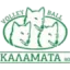 AO Kalamata 80 logo