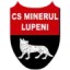 CS Minerul Lupeni logo
