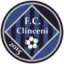 ACS LPS HD Clinceni logo
