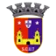 SCU Torreense (W) logo