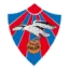 Valur Reykjavik logo