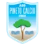 ASD Pineto Calcio logo