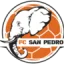FC San Pedro logo