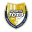 Sejong Sportstoto (W) logo