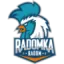 MOYA Radomka Radom (W) logo