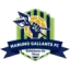 Marumo Gallants Reserves logo