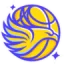 Bendigo Spirit (W) logo