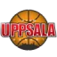Starwings Basket logo