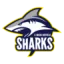 Sheffield Sharks logo