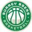 Surrey 89ers logo