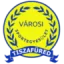 Tiszafuredi VSE logo