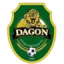 Dagon Stars United FC logo