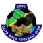 Geita Gold FC logo