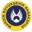 Mardin Buyuksehir Basak Spor logo