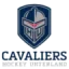 Hockey Unterland Cavaliers logo