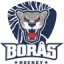 Borås HC logo