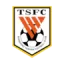 Shandong Taishan (saige) logo