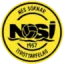 NSÍ Runavík logo