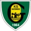 GKS Katowice (W) logo
