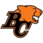 Lions logo