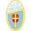 Treviso FBC 1993 SSD logo
