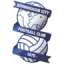 Birmingham (W) logo