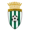 CF Peralada logo
