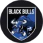 Associação Black Bulls logo