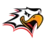 Vaasan Sport logo