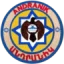 FC Andranik logo