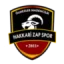 Hakkari Zap Spor logo