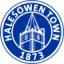 Halesowen Town logo