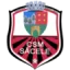 Csm Sacele logo