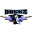 Shougang Beijing Ducks logo