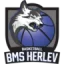 BMS Herlev Wolfpack logo
