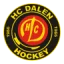 HC Dalen logo