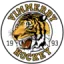 Vimmerby HC logo