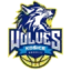 Kosice Wolves logo