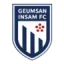 Geumsan Insam FC logo