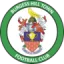 Burgess Hill Town logo